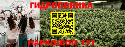 ECSTASY Моздок